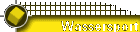 Wassersport